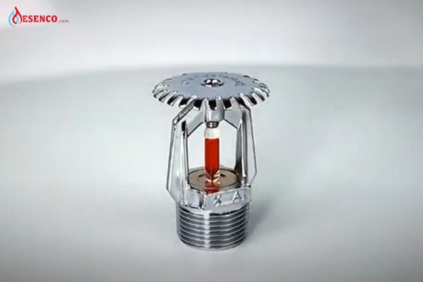 Đầu phun Sprinkler hướng lên